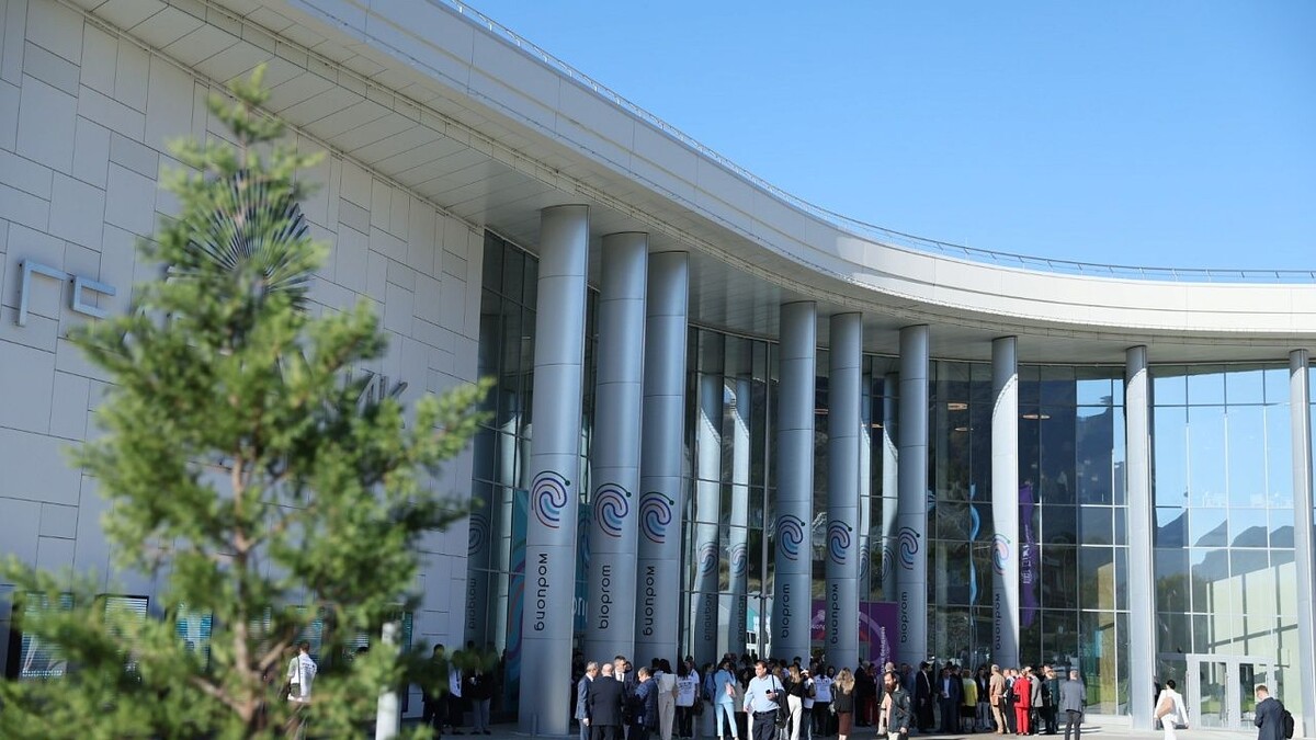    фото: пресс-служба администрации Краснодарского края