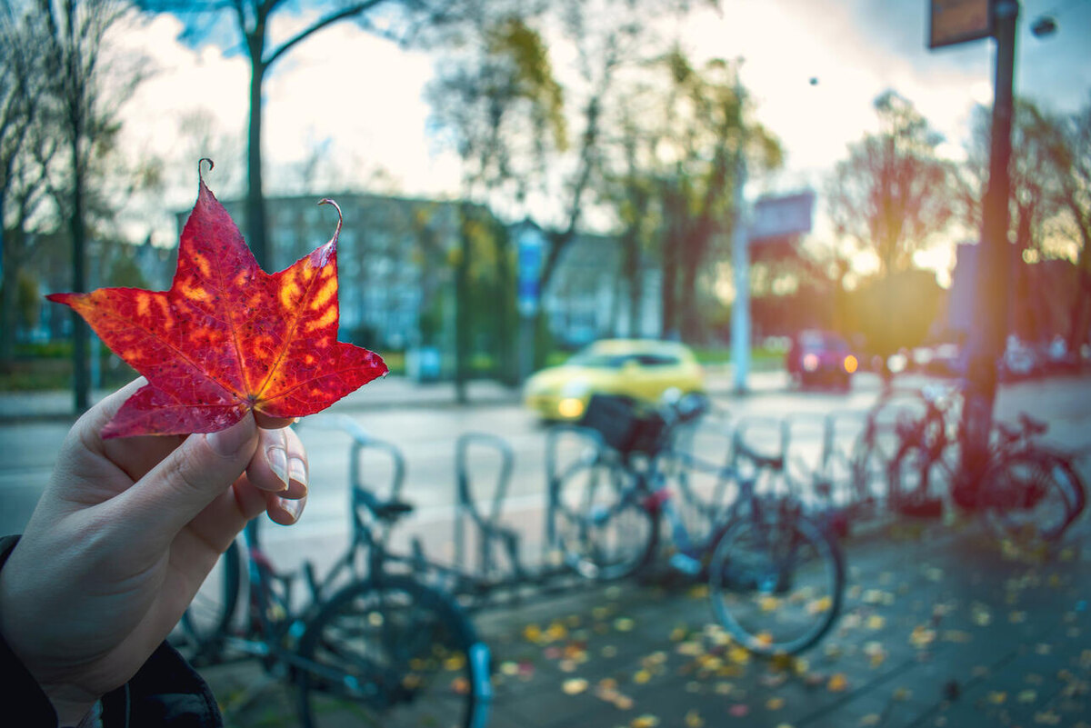    Октябрь 123RF/legion-media.ru