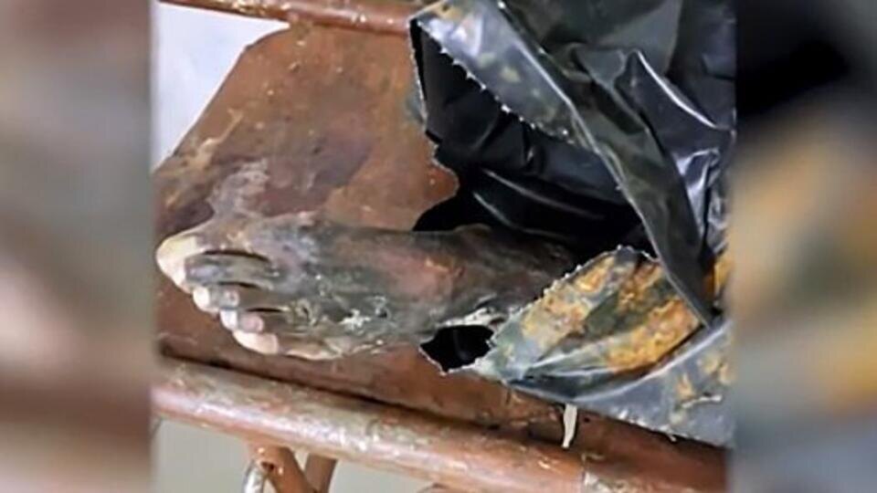 Фото: скриншот видео РЕН ТВ