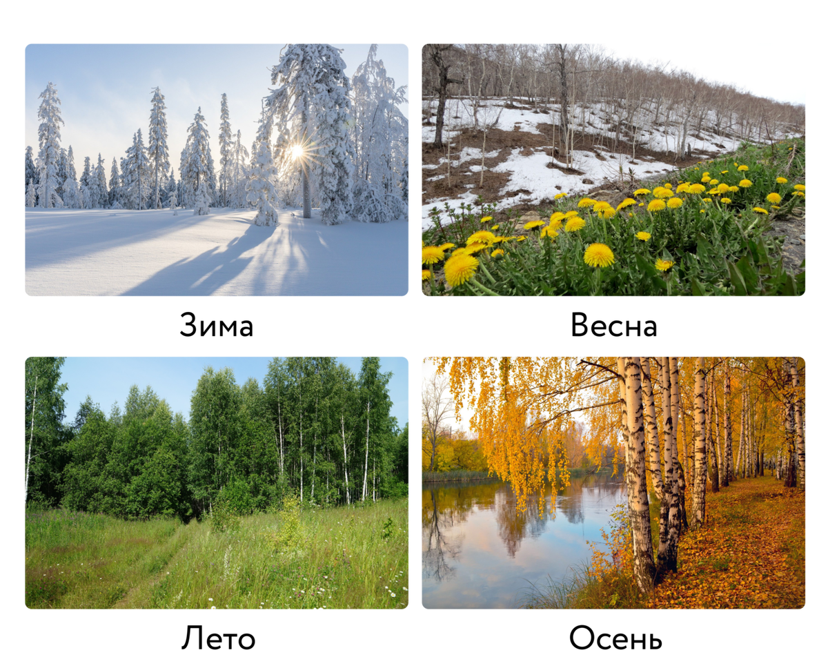 Времена года