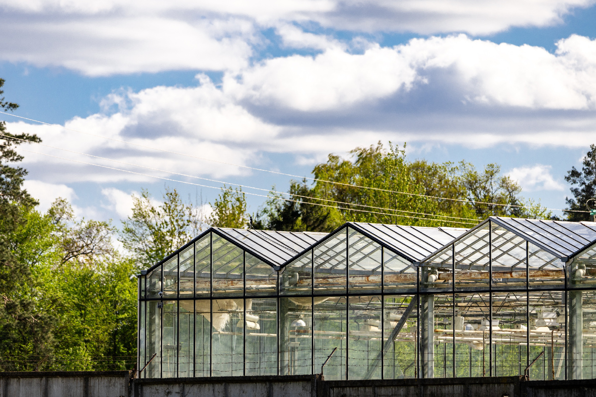 Фото: Shutterstock