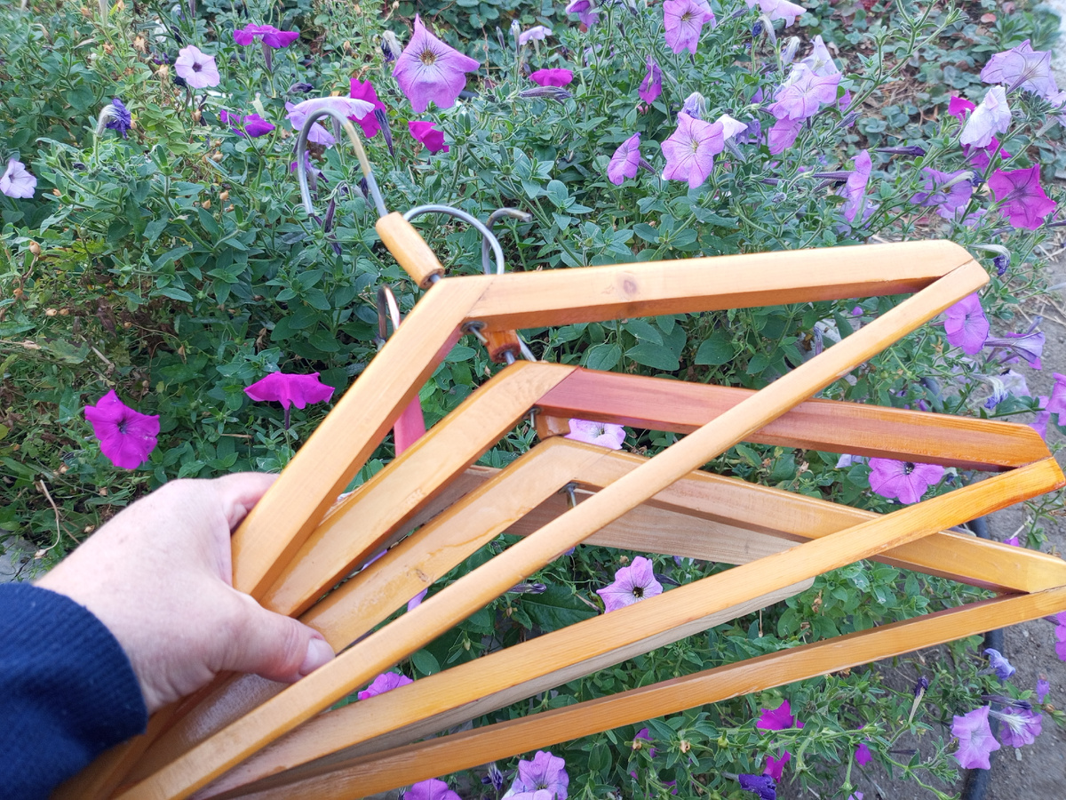 Фото автора.