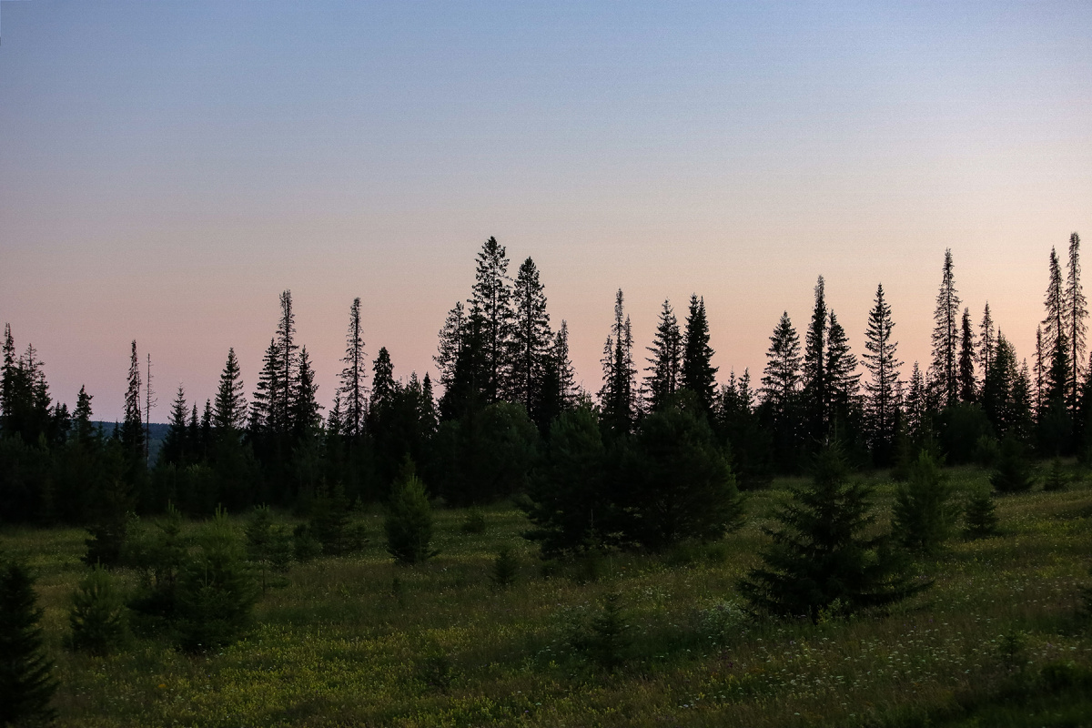 фото: Elena Mayorova/Global Look Press