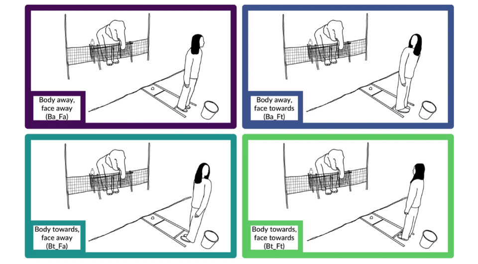   Hoi-Lam Jim et al. / Scientific Reports, 2025