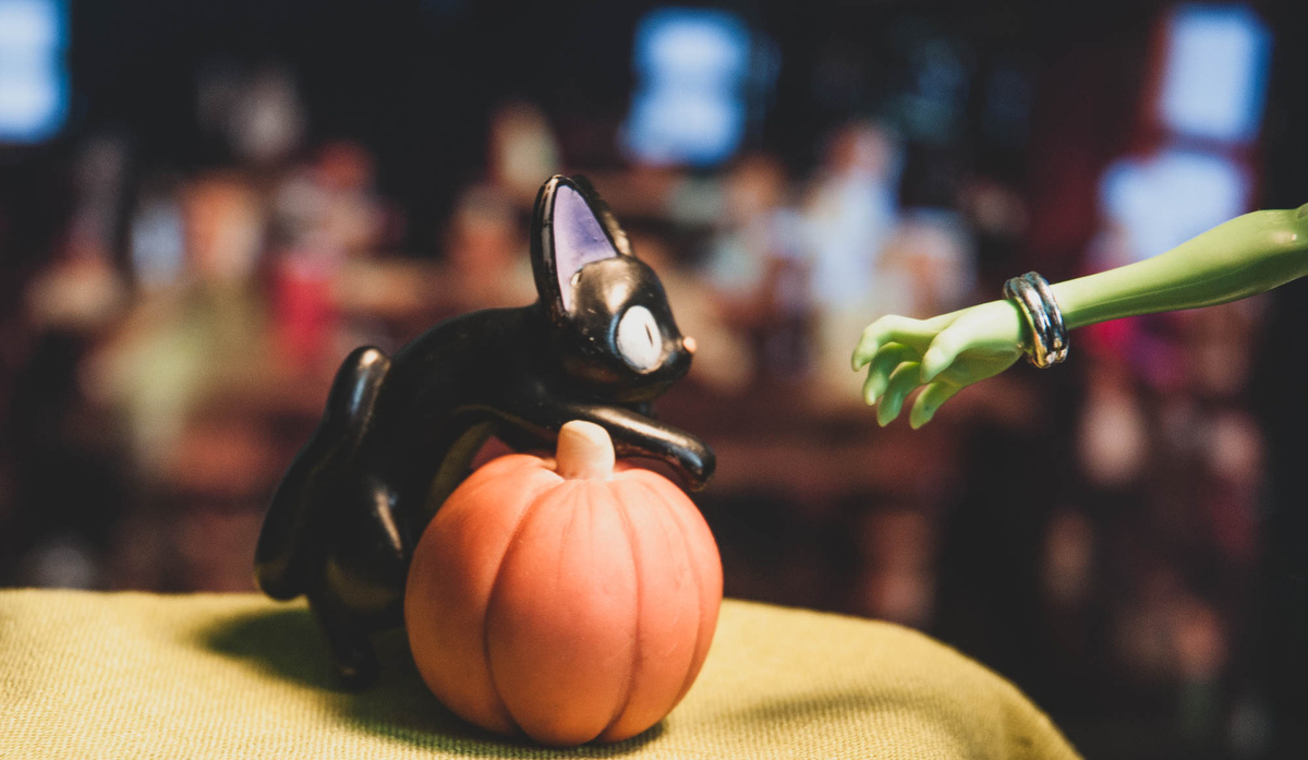 Фоточка Дзи-Дзи из "Ведьминой службы доставки Кики". 2019 год.