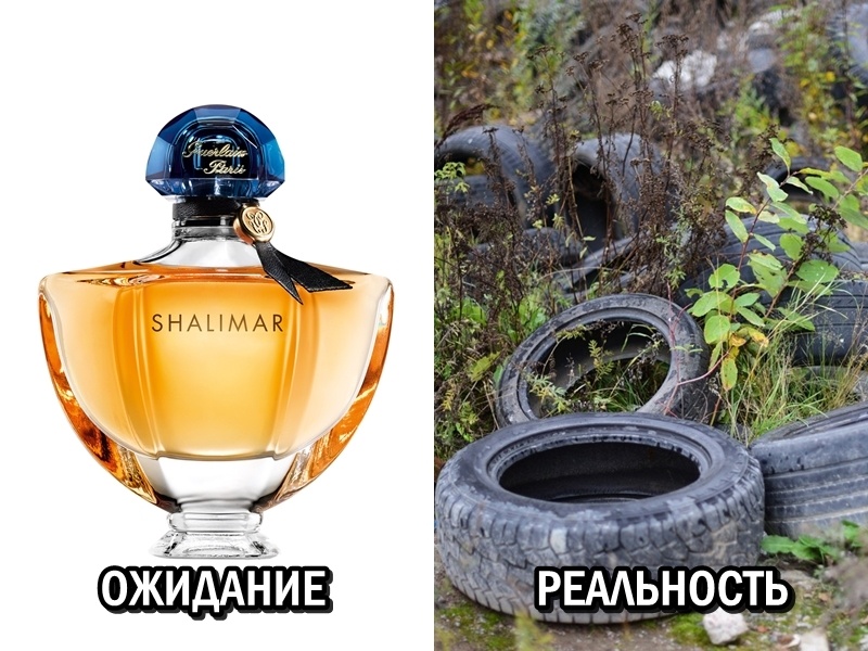 фото: premio-spb.ru