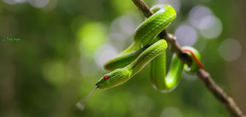 изображение из открытых источников