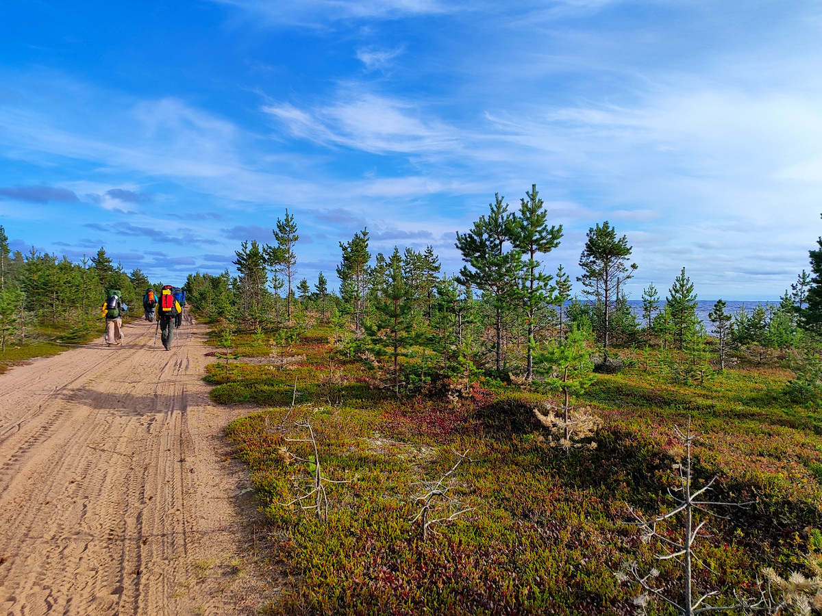 Желтая песчанная дорога от Кашкаранцев к часовне Безымянного инока Терского