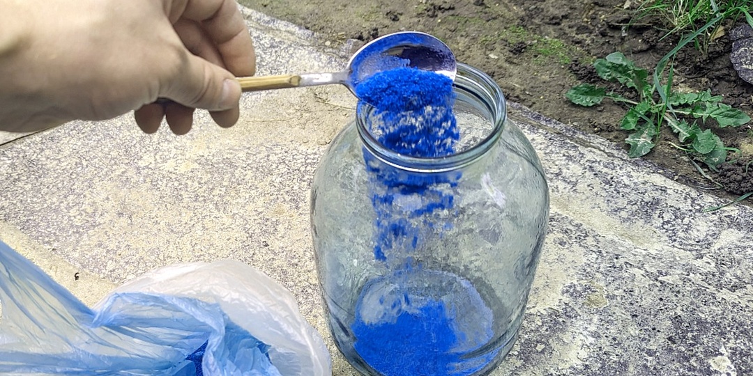 Опрыскайте этим смородину и крыжовник осенью в октябре ноябре чтобы кусты были усыпаны ягодой.