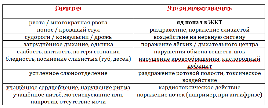 Отравление собаки: симптомы и возможные причины