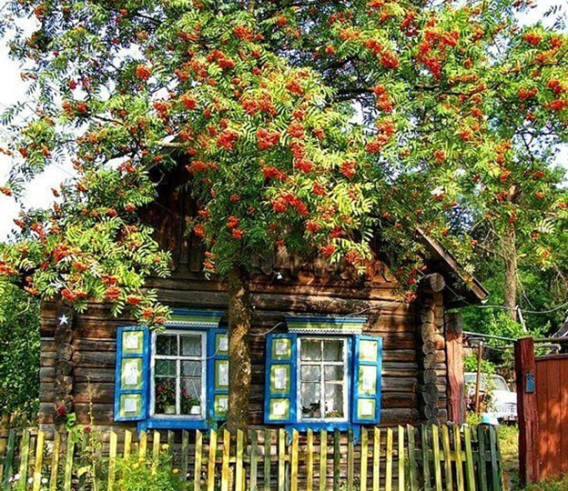 Дача на троих (2)