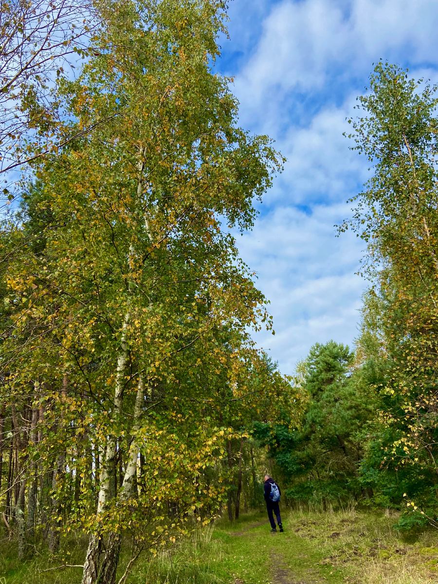 Дорога к морю.