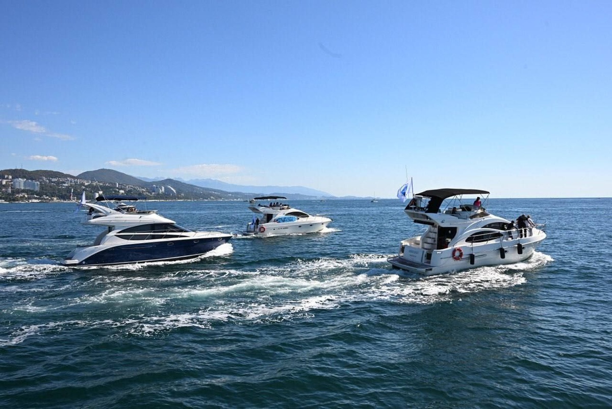    Фото: Telegram/Сочи Официальный