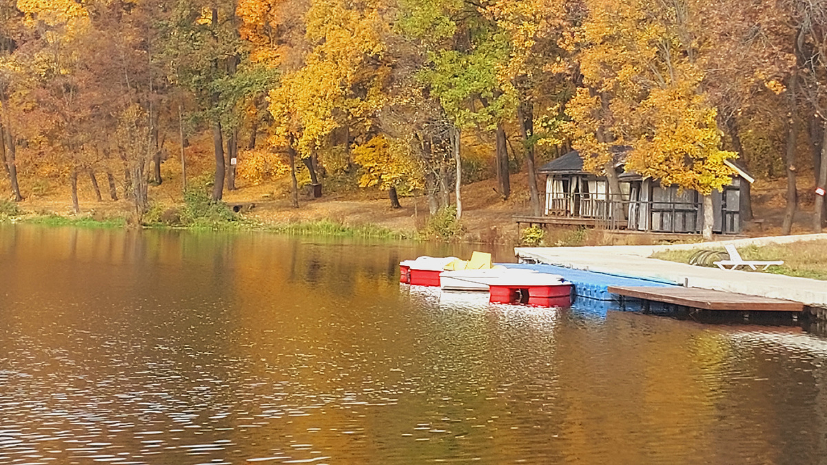 Фото автора канала. Саратов