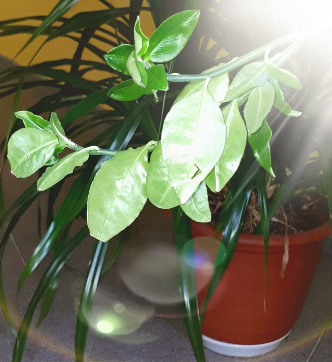 Фото автора 07.10.2025г.