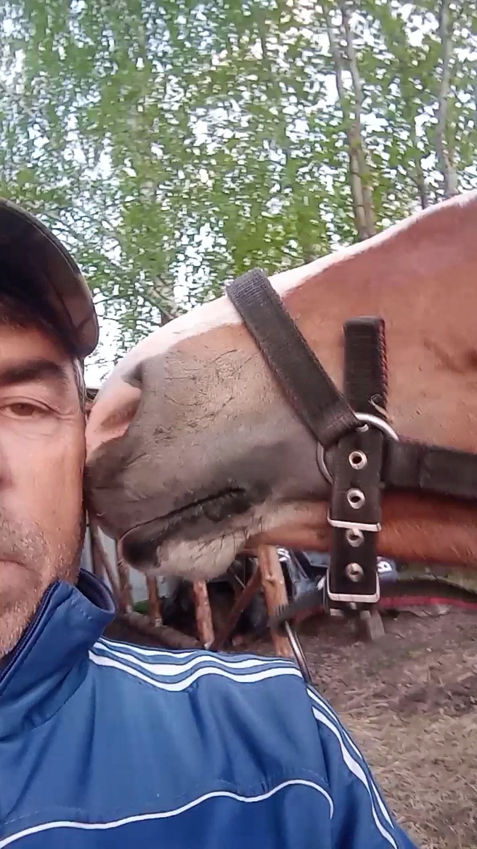 Любит нюхать хозяина. Женщина одним словом. 