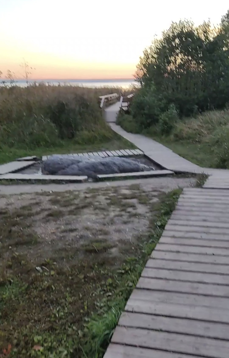 Синь камень.