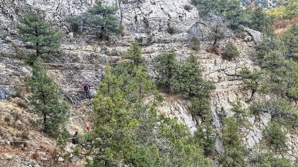    © Telegram Михаил Развожаев