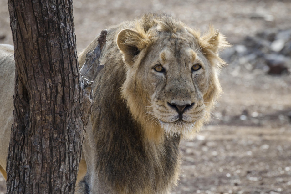    Matthias Graben/imageBROKER.com/Global Look Press