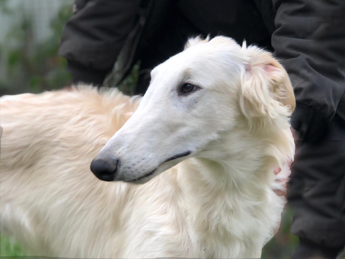 Один из моих выпускников