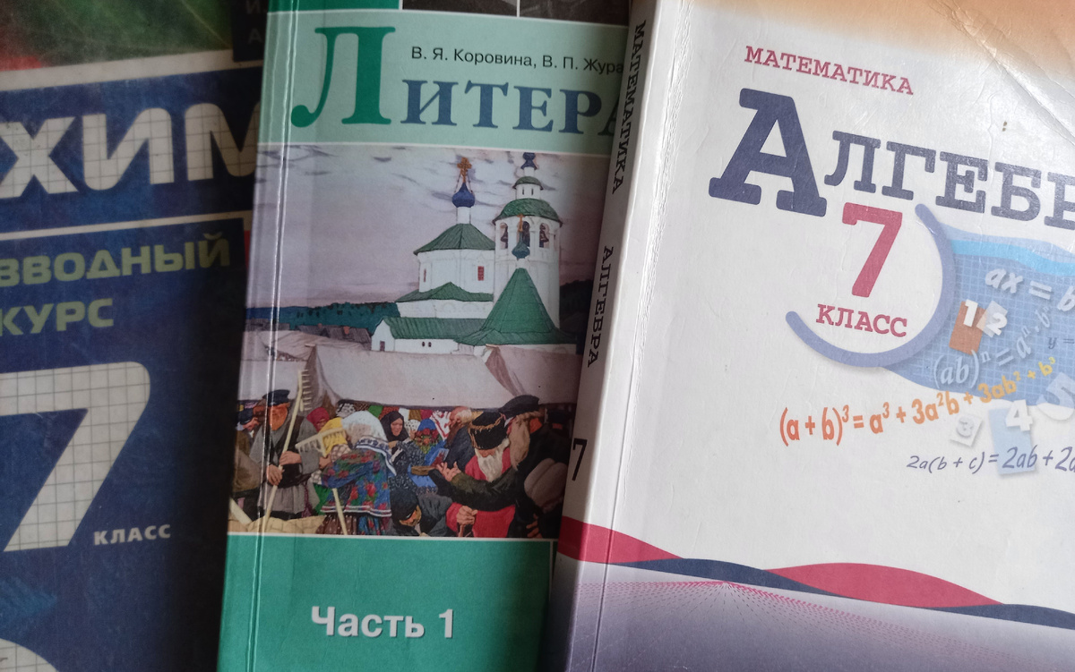 Учебники семиклассника. Фото автора.