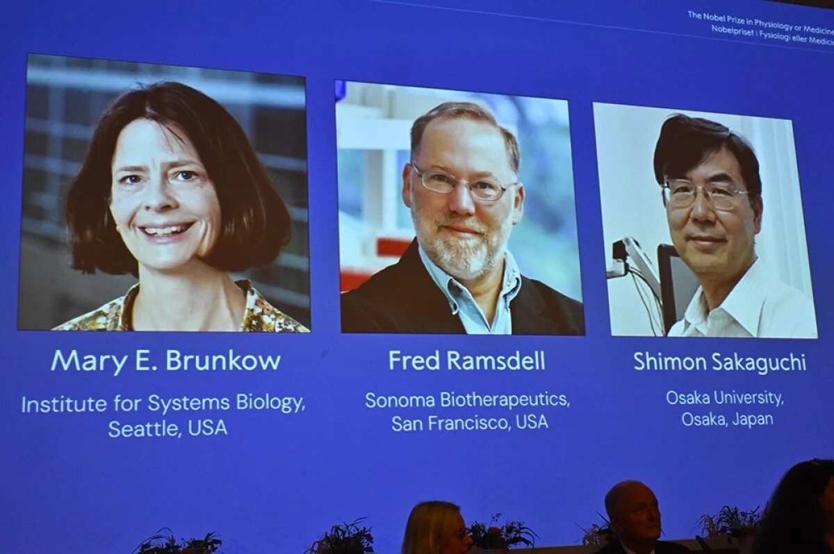    Шимон Сакагучи, Мэри Брункоу, Фред Рамсделл.