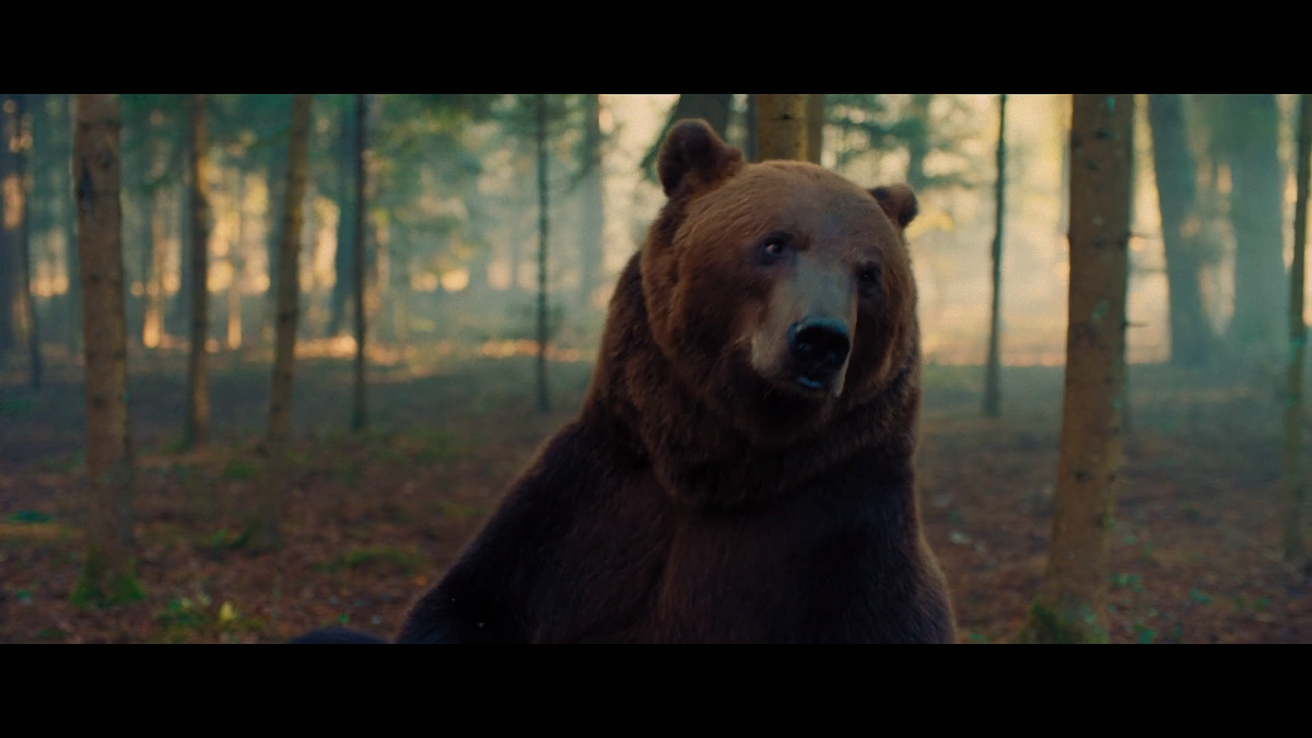 Кадр из фильма Мой папа — медведь (2025)