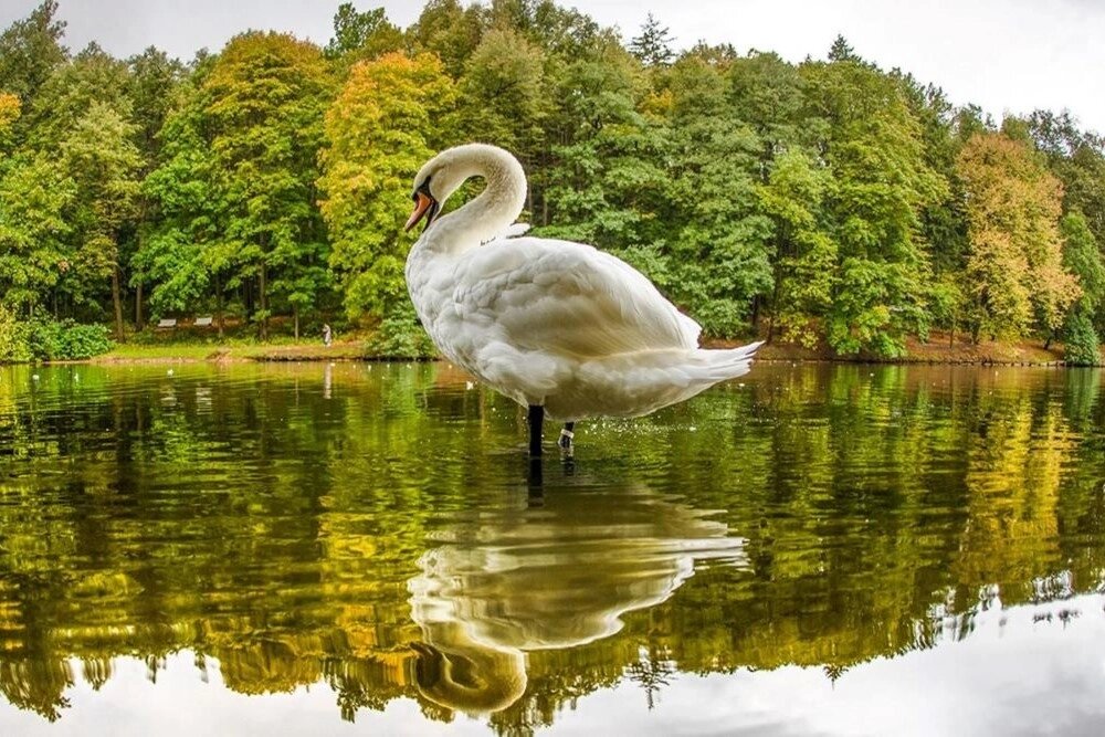    Фото: mos.ru/ Пресс-служба Департамента культуры города Москвы