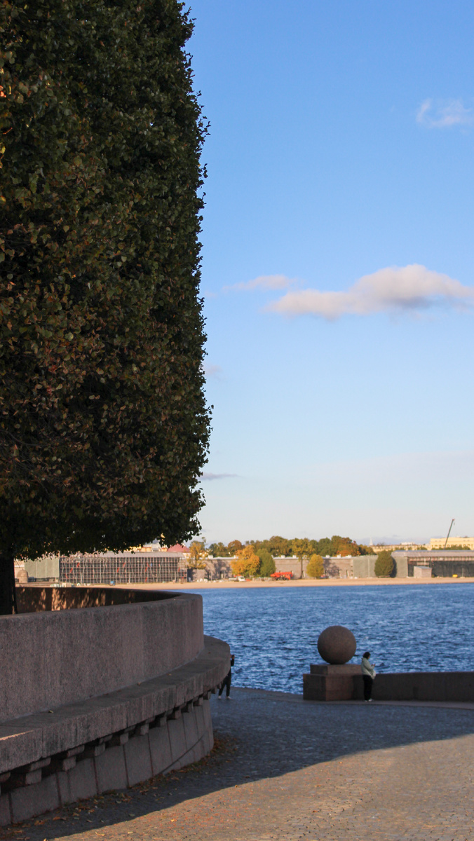 Стрелка Васильевского острова