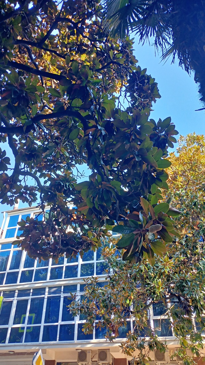 Здесь и далее - изображения автора