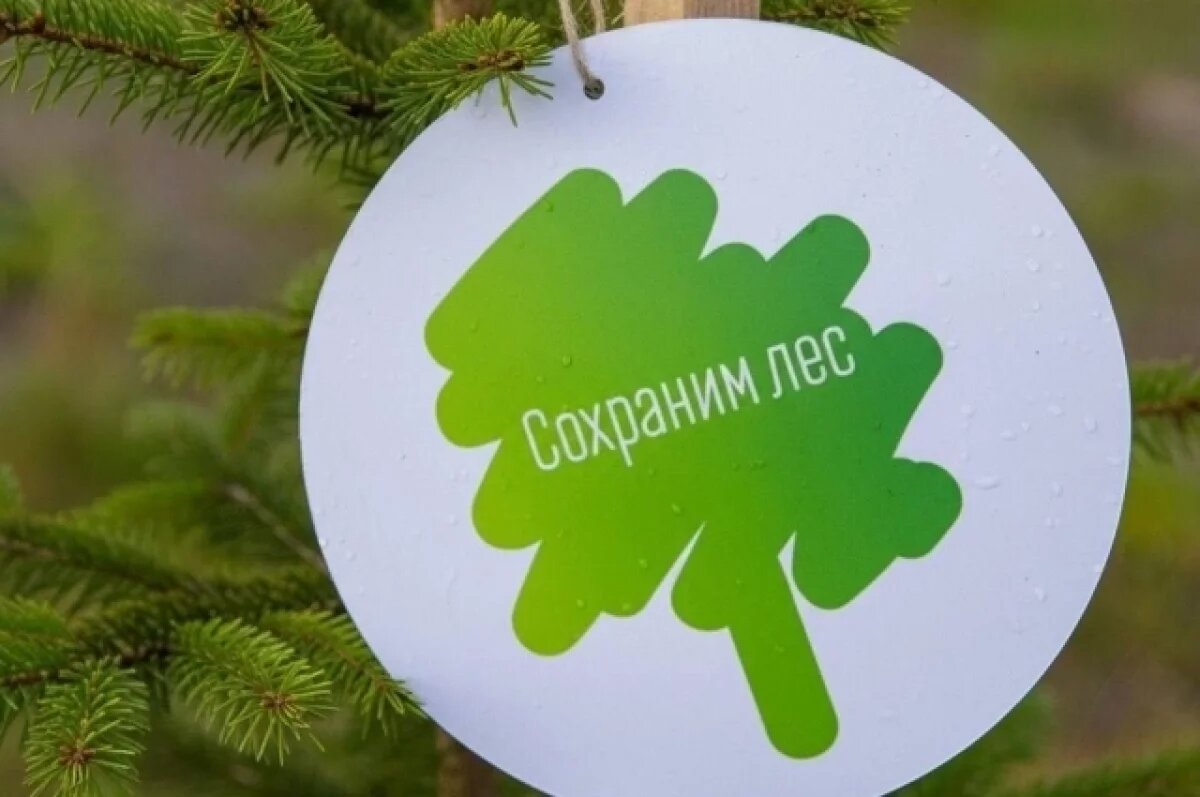    Смоленская область приняла участие во всероссийской акции «Сохраним лес»