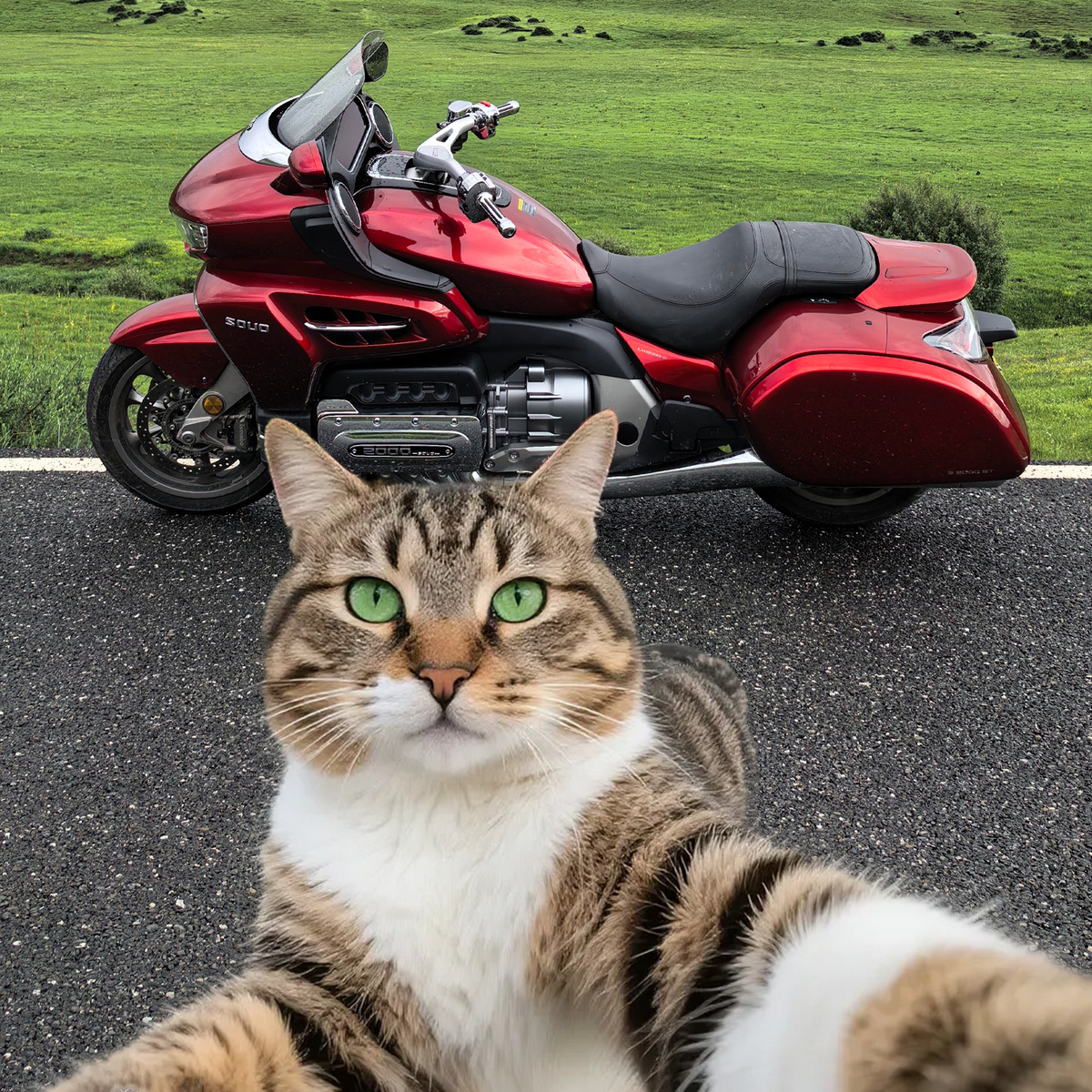 Фото: Great Wall Soul Motorcycle  📷
