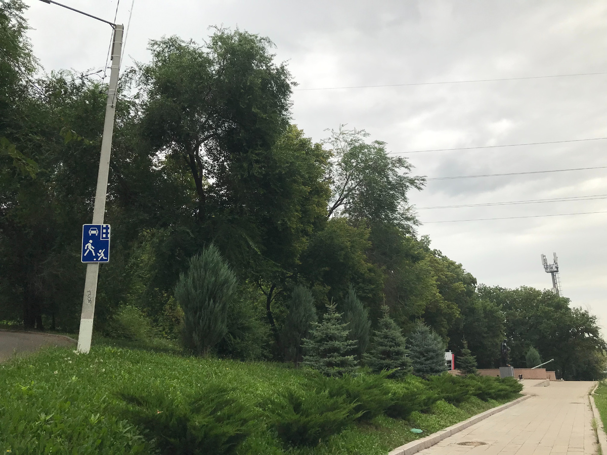 05 августа 2025 08:41