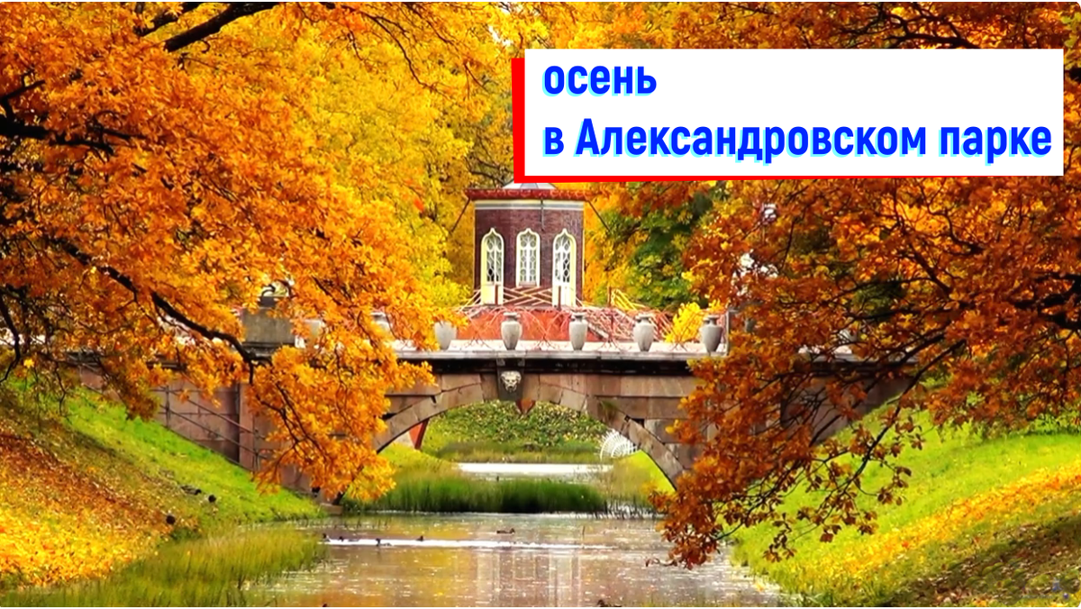 путешествие по Александровскому парку