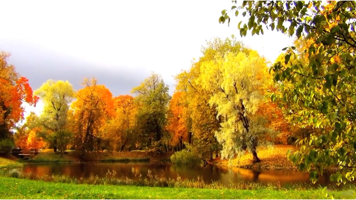 путешествие по Александровскому парку