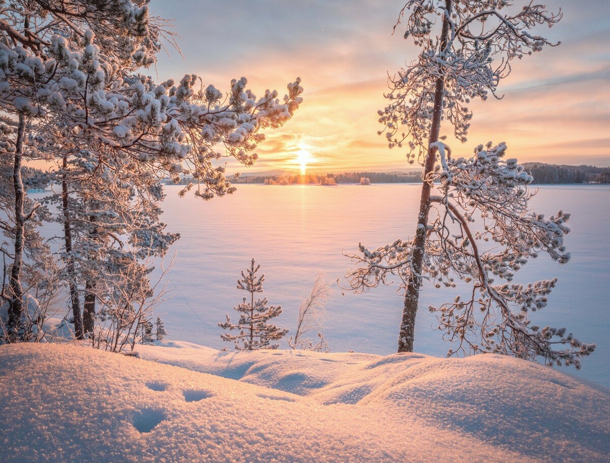 Картинка найдена на просторах интернета, ссылка https://yandex.ru/images/search?from=tabbar&img_url=https%3A%2Fi%2F.pinimg.com%2Foriginals%2Fa8%2F34%2Fа3f%2Fa83р43f81с2879b5e7bd53274cf03591a19.jpg&lr=47&pos=15&rpt=simage&text=%D1%86%D0%B2%D0%B5%D1%82%D1%8B%20%D0%BA%D1%80%D1%83%D0%BF%D0%BD%D0%BE%20%D1%84%D0%BE%D1%82%D0%BE