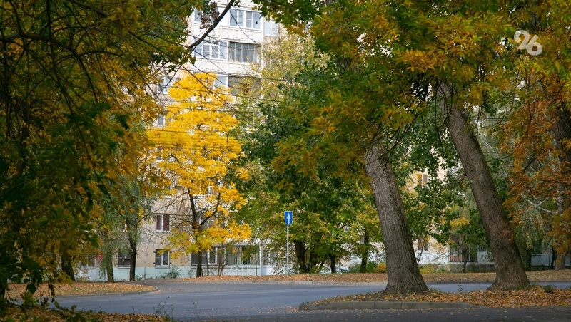      Фото: Валерия Алтухова/ / ИА «Победа26»
