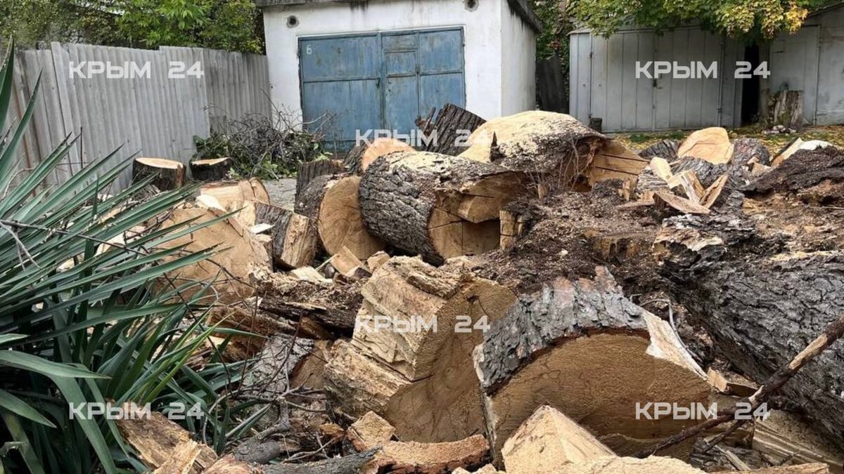 Фото: "Крым 24"