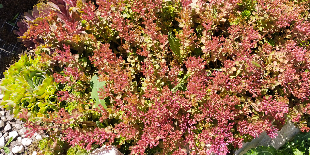 Залез в долги, чтобы дочка почувствовала себя принцессой. Получилось!