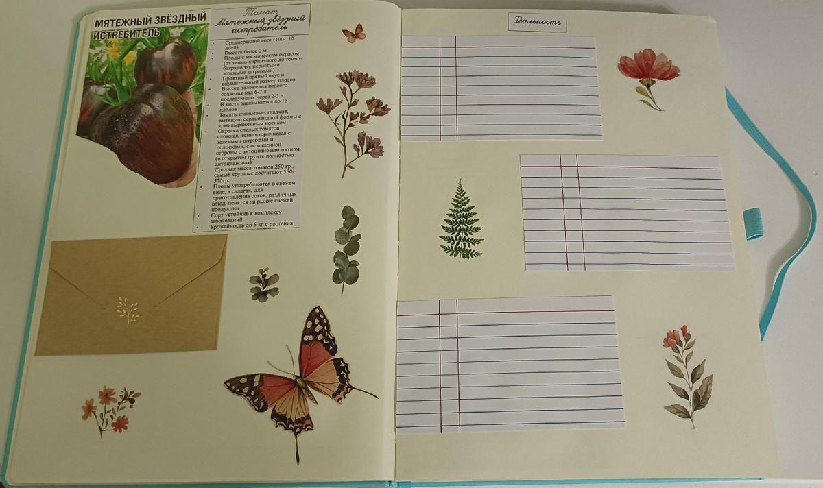 Томат "Мятежный звездный истребитель"