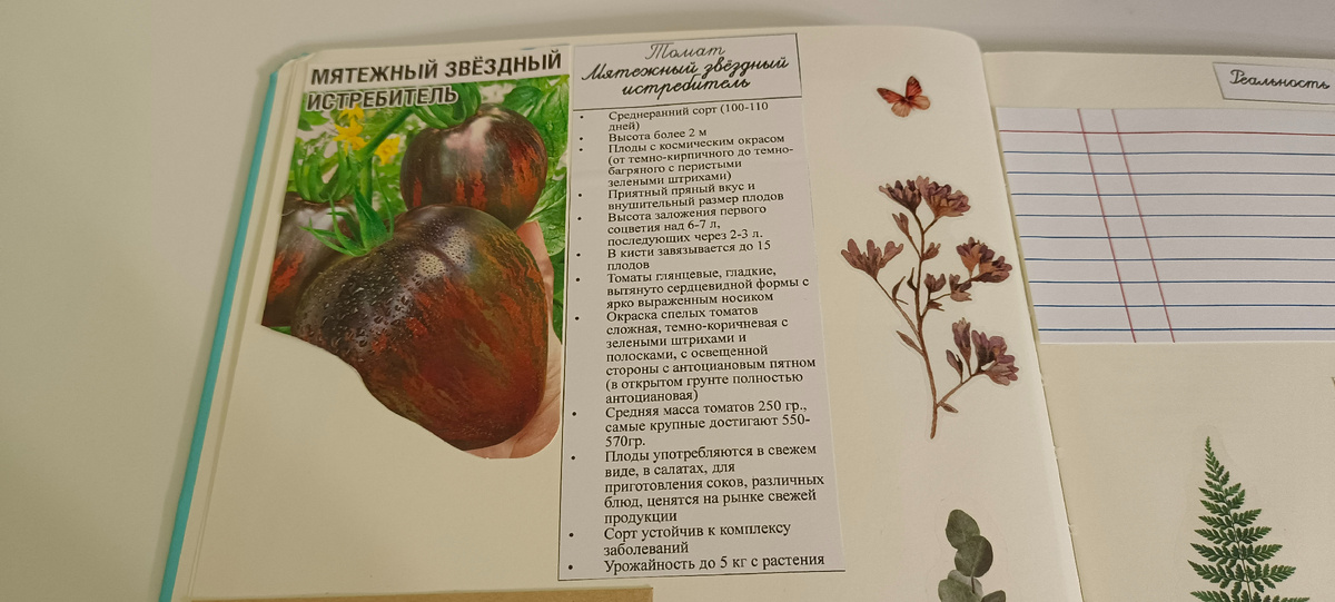 Томат "Мятежный звездный истребитель"