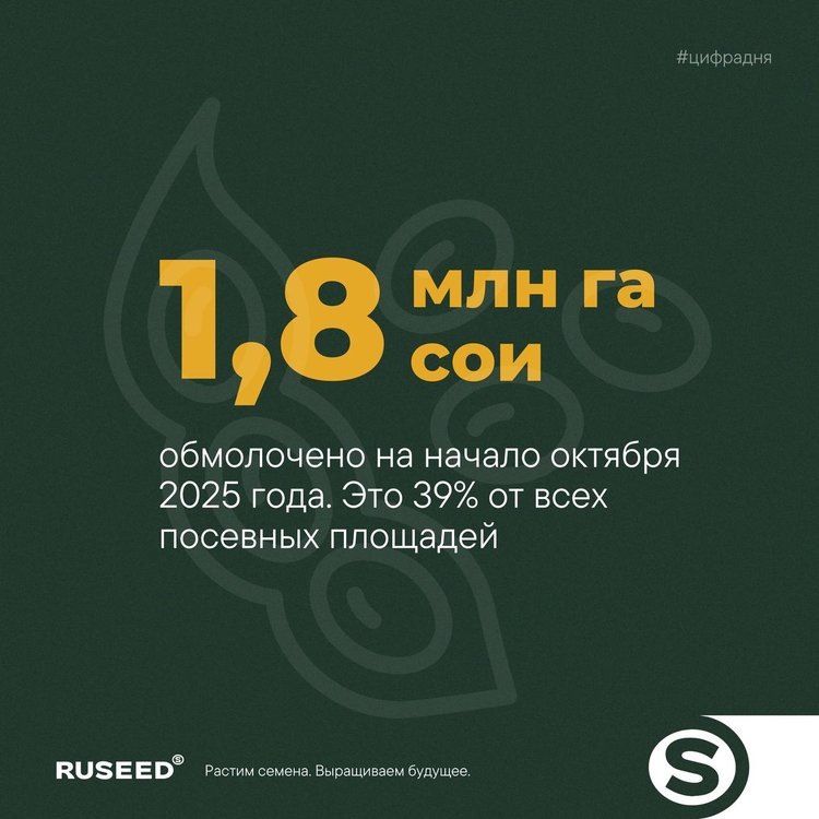     Сбор сои в России на начало октября 2025 года

