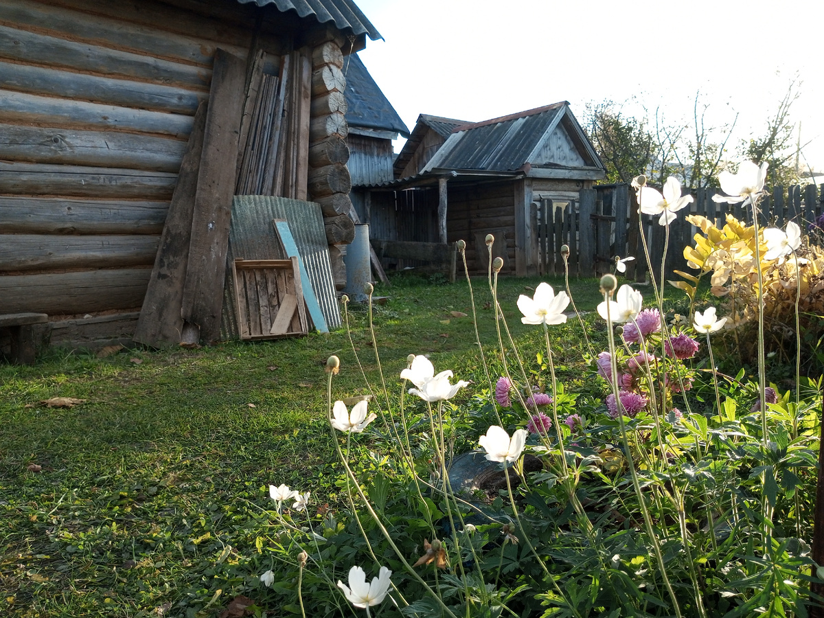 Деревенский пейзаж. Фото автора.