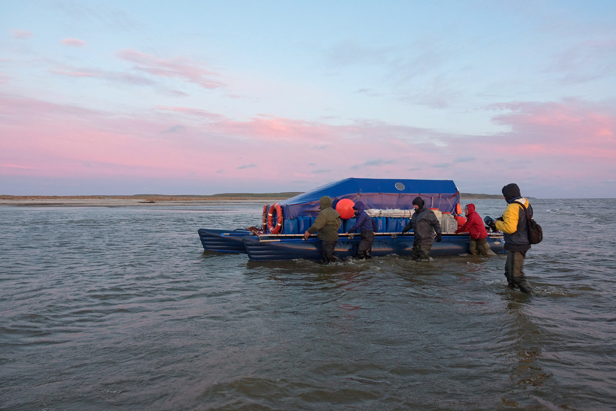 Это вечернее фото, дневного не нашлось. Почему-то в такие моменты мне вспоминается сюжет из «Простоквашино» про ездовых котов)). (фото: Самендра Сингх)