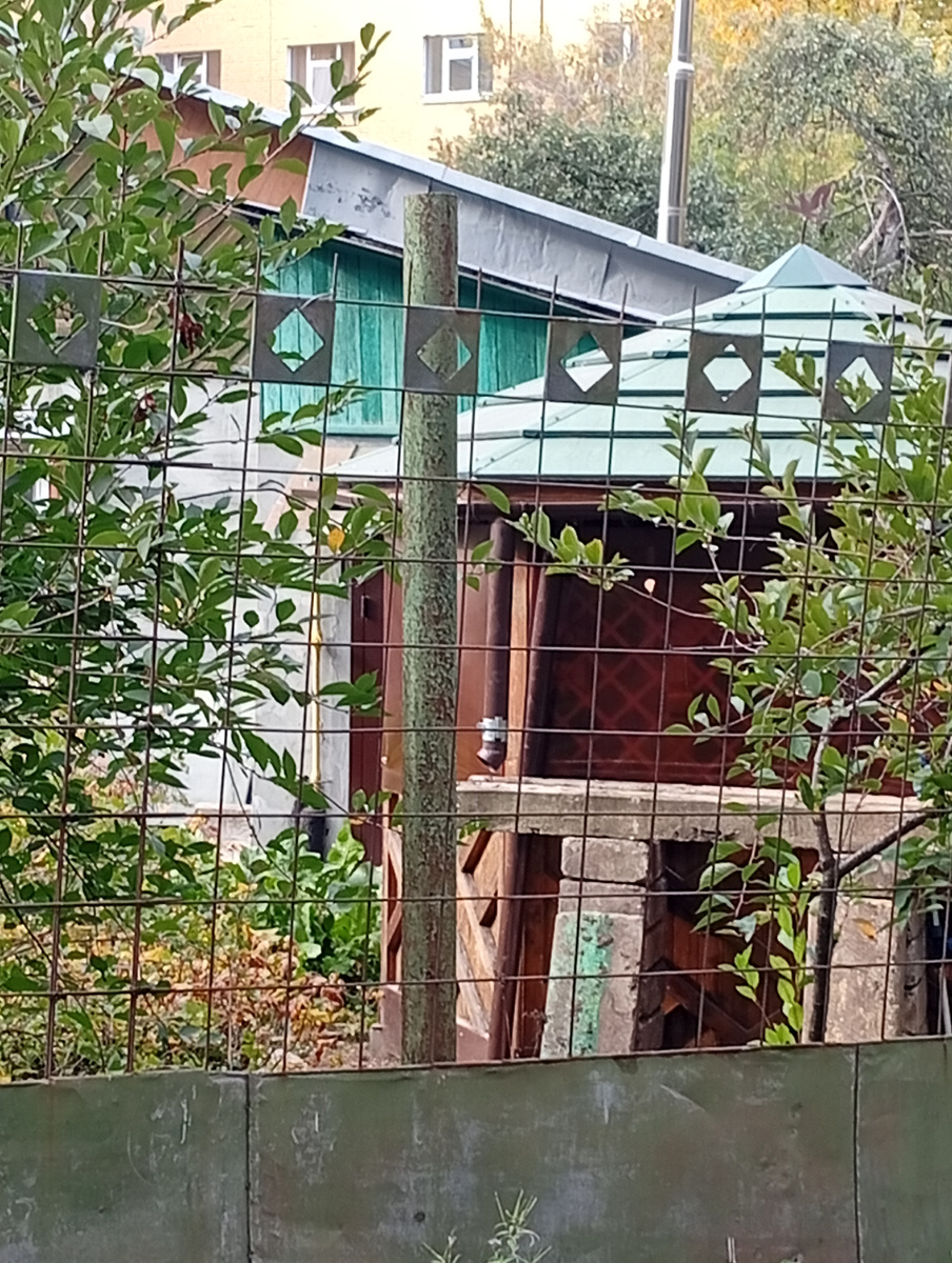 Беседка возле дома. Фото автора