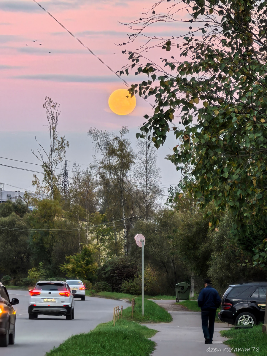 Huawei Pura 70 Pro; F=270мм (ЭФР); f/2.1; 1/50; ISO 250