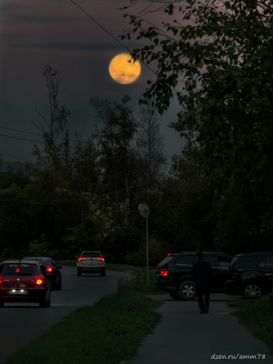 Huawei Pura 70 Pro; F=270мм (ЭФР); f/2.1; 1/170; ISO 50