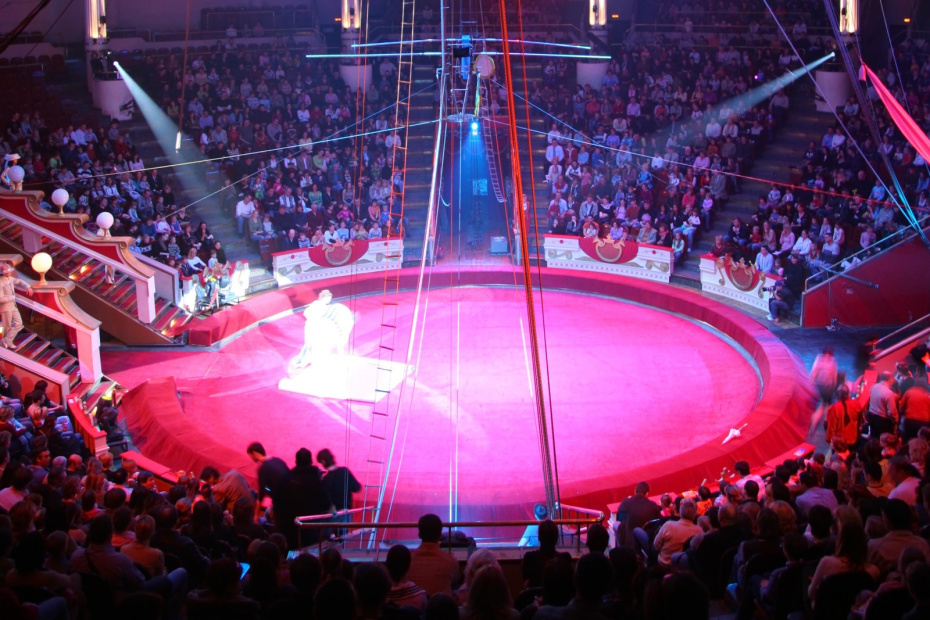    Shutterstock/FOTODOM