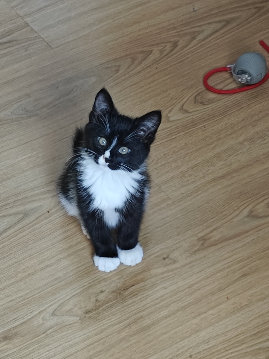 Каким маленьким он к нам прибыл💕