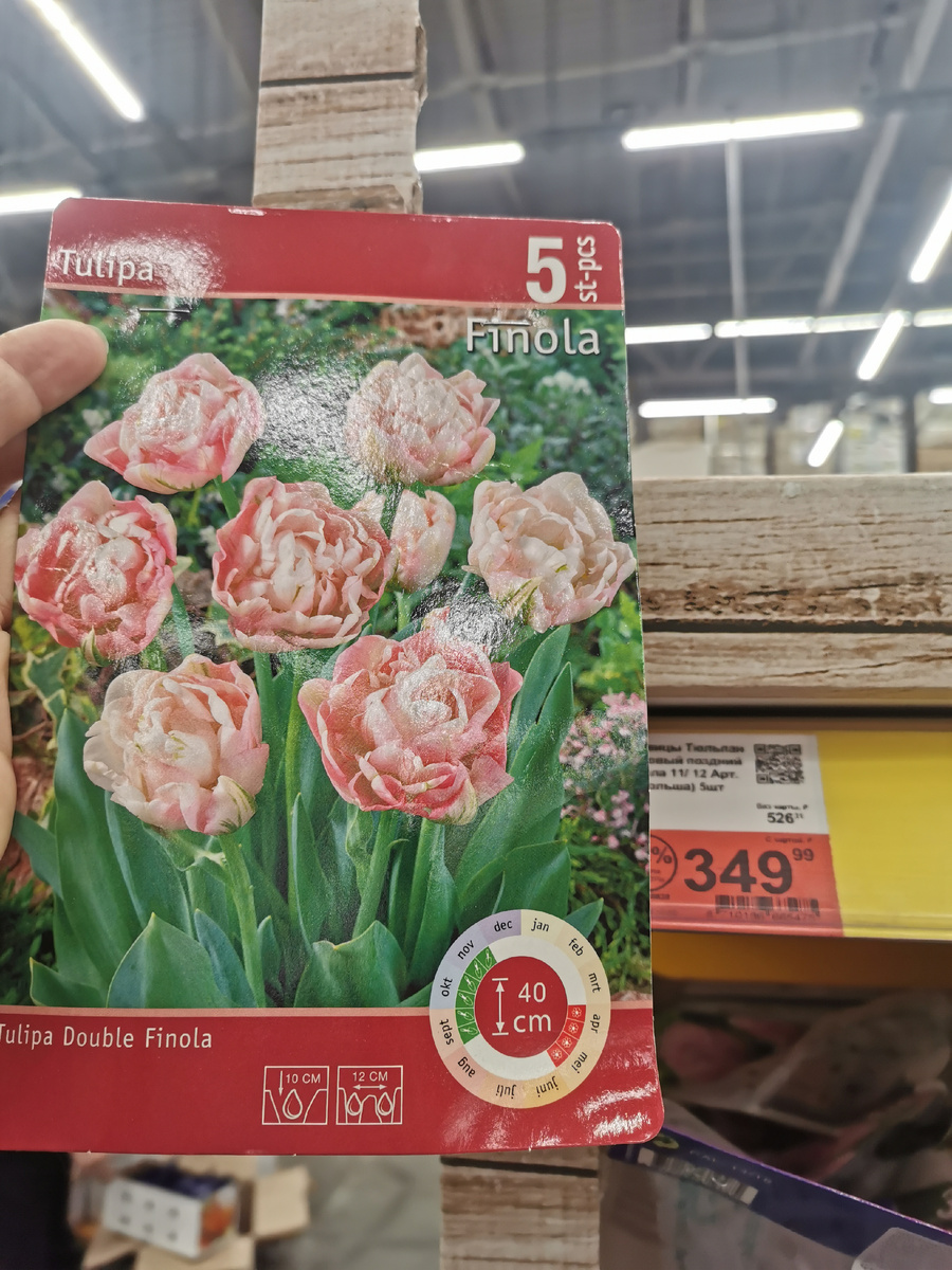 349 руб/5 шт. . На сайте 249 р. 